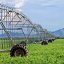 Cordyne ofrece una amplia gama de soluciones eléctricas para la industria agrícola y ganadera.